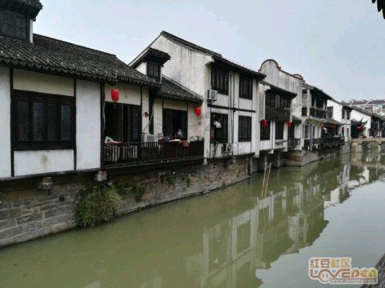 跳动的圆球